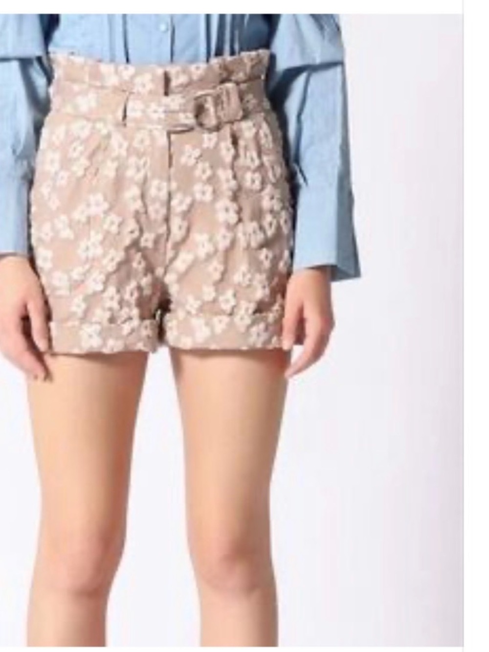 Gracia Taupe and Ivory Floral Appliqué Dress